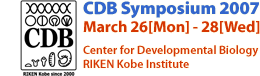 CDB SYMPOSIUM 2007 March 26 (MON) - March 28 (WED), 2007 Center for Developmental Biology (CDB), RIKEN Kobe Institute